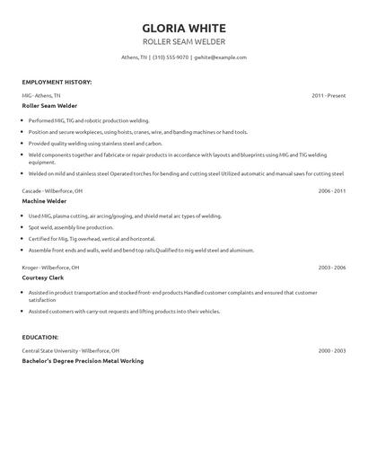 Roller Seam Welder Resume