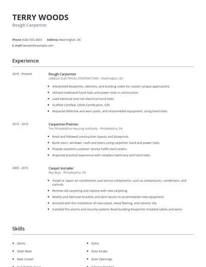 Rough Carpenter Resume