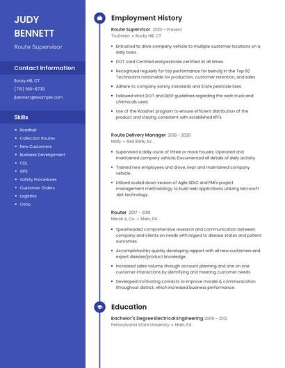 Resume example 4
