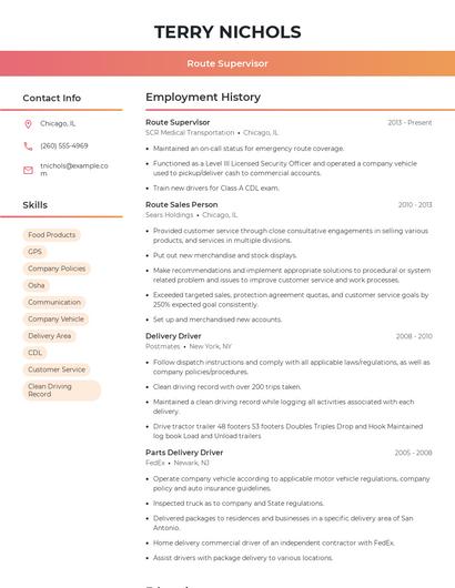 Resume example 3