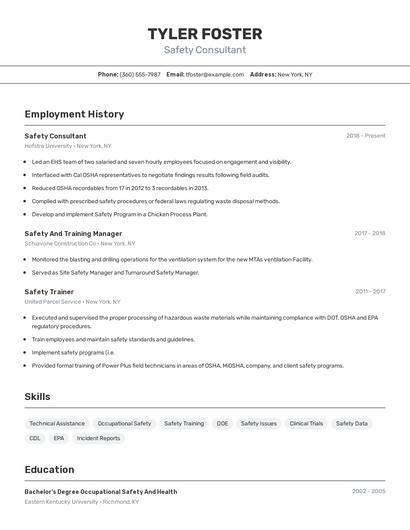 Safety Consultant Resume