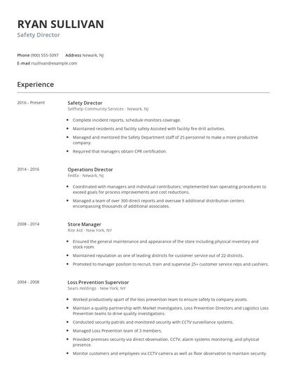 Safety Director Resume