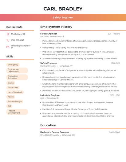 Resume example 3