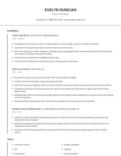 Safety Fire Boss Resume