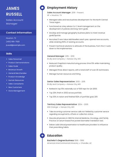 Sales Account Manager Resume