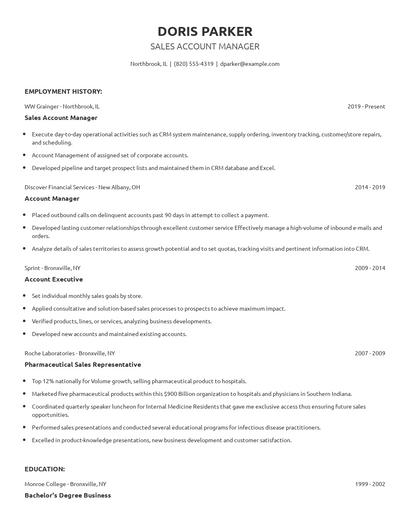 Sales Account Manager Resume