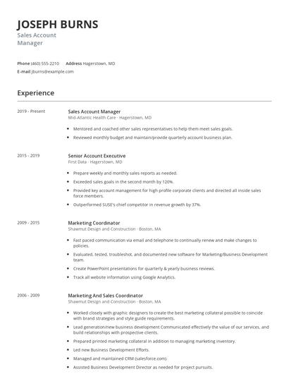 Sales Account Manager Resume