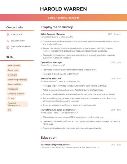 Sales Account Manager Resume