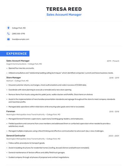 Sales Account Manager Resume