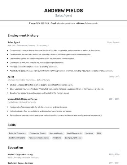 Resume example 2