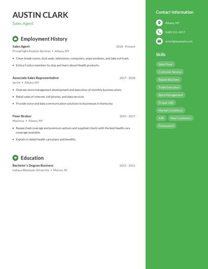 Resume example 5
