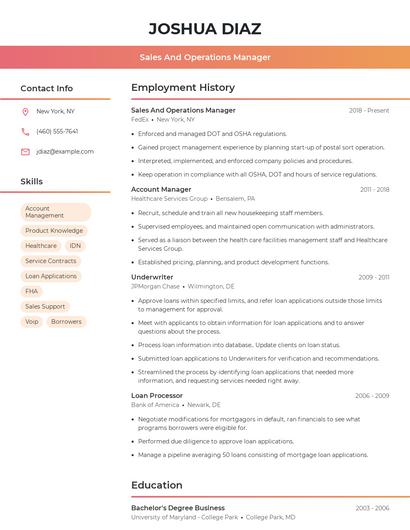 Resume example 3