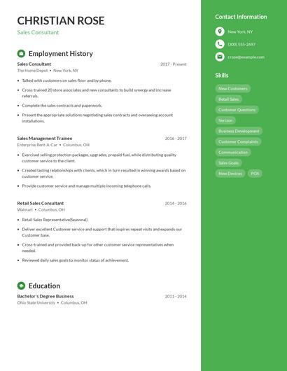 Resume example 4