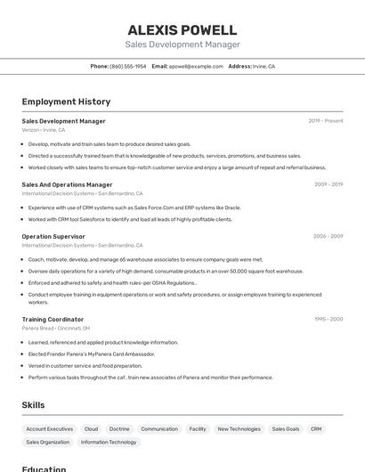 Resume example 2