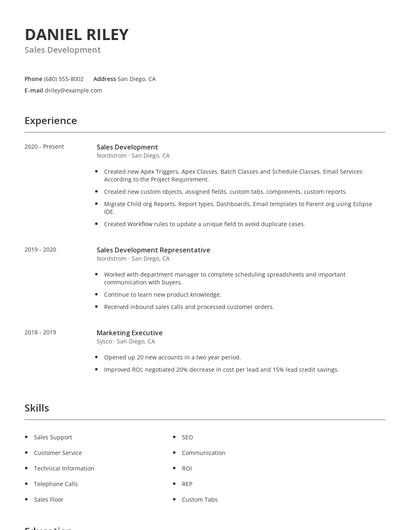 Sales Development Resume