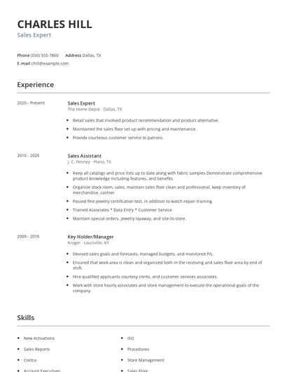 Sales Expert Resume