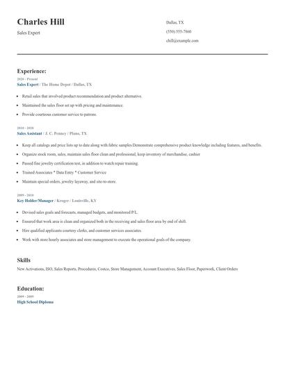Sales Expert Resume