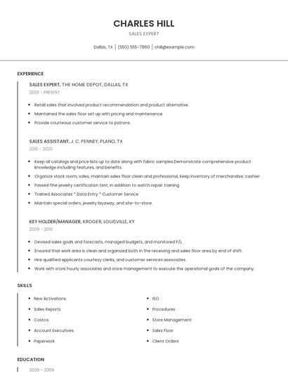 Sales Expert Resume