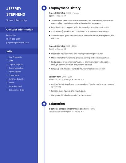 Resume example 5