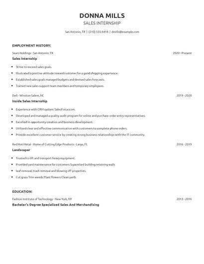 Sales Internship Resume
