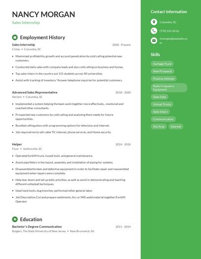 Resume example 4