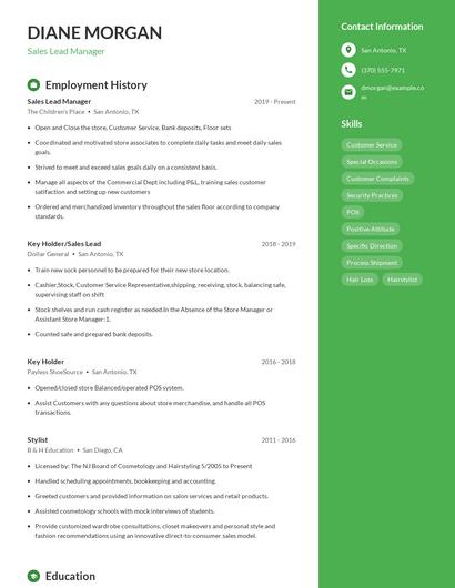 Sales Lead Manager Resume