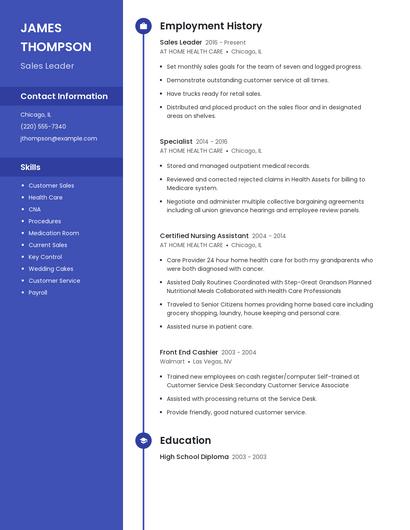 Resume example 4