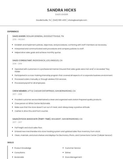 Sales Leader Resume