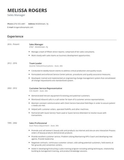 Sales Manager Resume