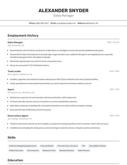 Sales Manager Resume