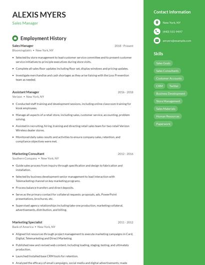 Resume example 4