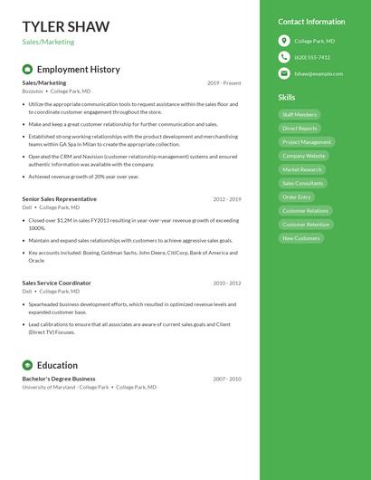 Resume example 4
