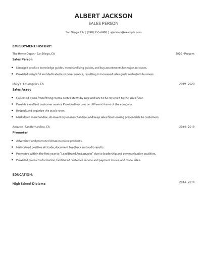 Sales Person Resume