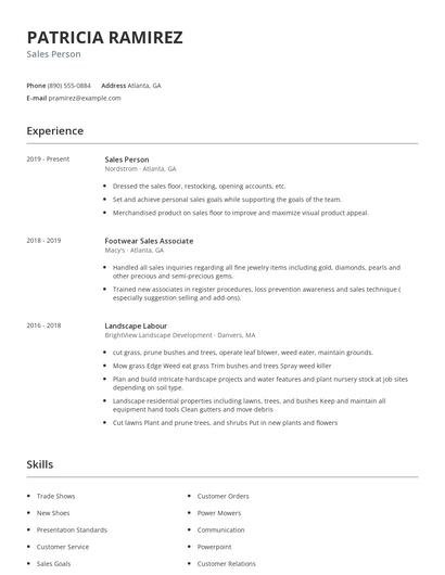 Sales Person Resume