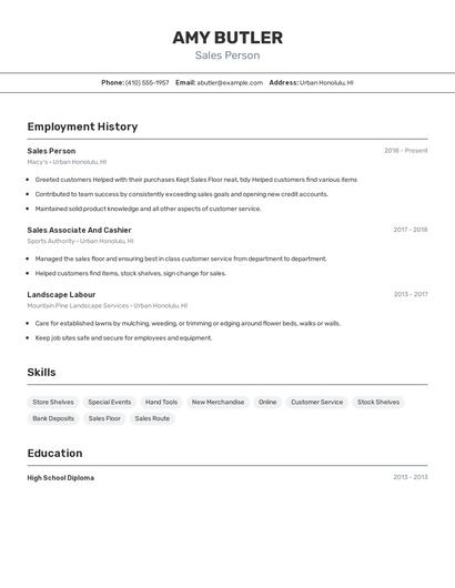 Resume example 2
