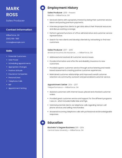 Sales Producer Resume