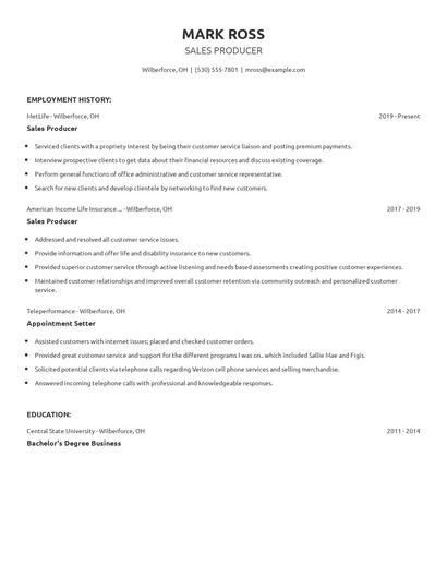 Sales Producer Resume