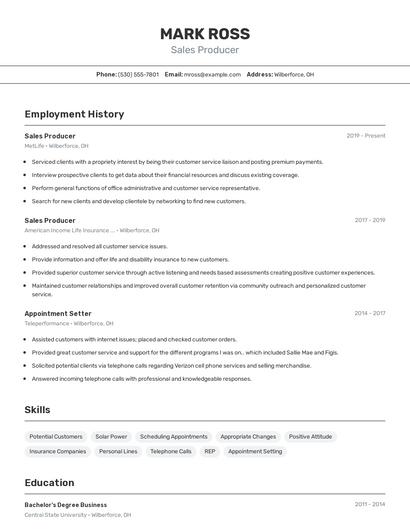 Sales Producer Resume