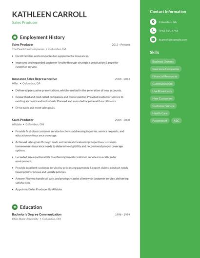Resume example 4