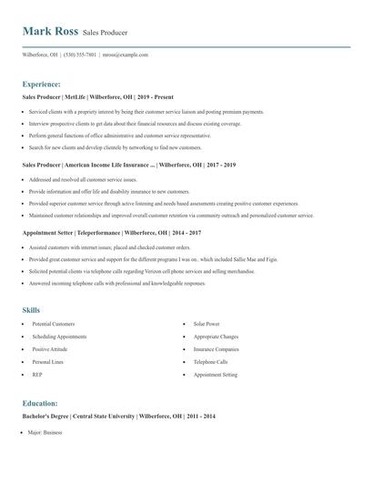 Sales Producer Resume