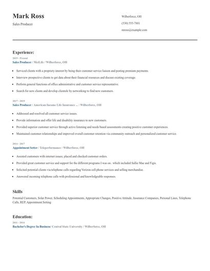 Sales Producer Resume