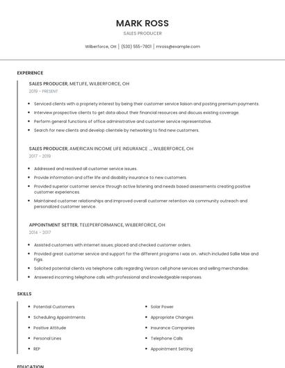 Sales Producer Resume