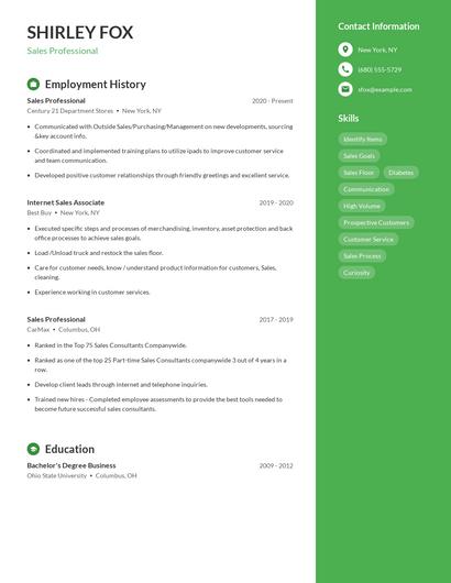 Resume example 4