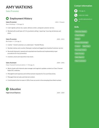 Resume example 5