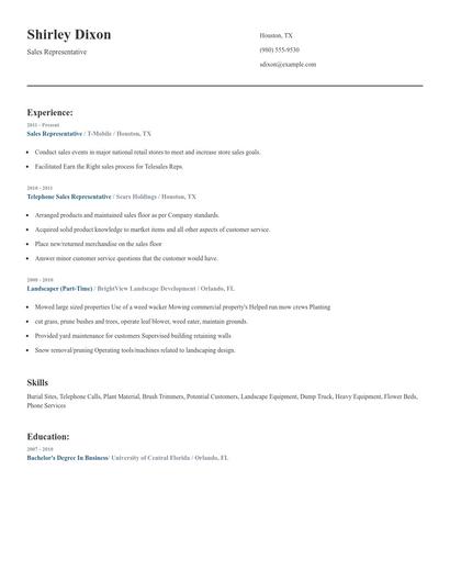 Sales Representative Resume