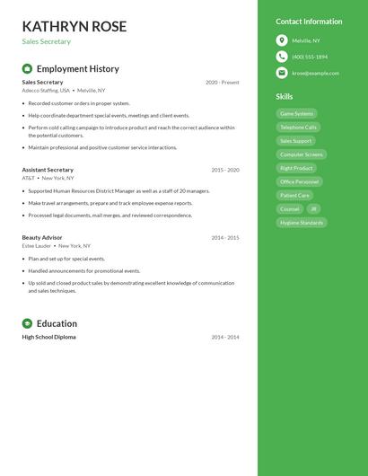 Resume example 4