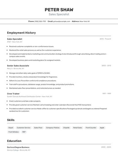 Resume example 2