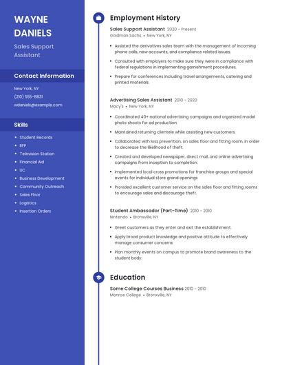 Sales Support Assistant Resume