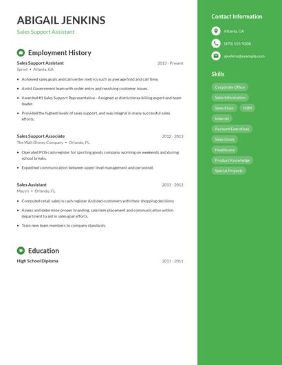 Sales Support Assistant Resume