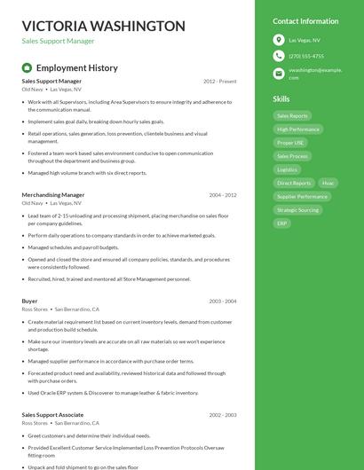 Resume example 5